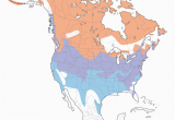 Map Of West Coast Of America and Canada Canada Goose Distribution Migration and Habitat Birds