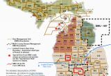 Michigan Dnr Lake Maps Dnr Dmu Management Info