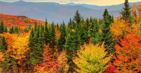 New England Fall Foliage Map How to See New England Fall Foliage at Its Peak