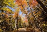 New England Foliage 2014 Map A Scenic Drive In Western Maine New England Fall Foliage