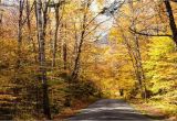 New England Foliage 2014 Map A Scenic Drive In Western Maine New England Fall Foliage