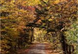 New England Foliage 2014 Map A Scenic Drive In Western Maine New England Fall Foliage