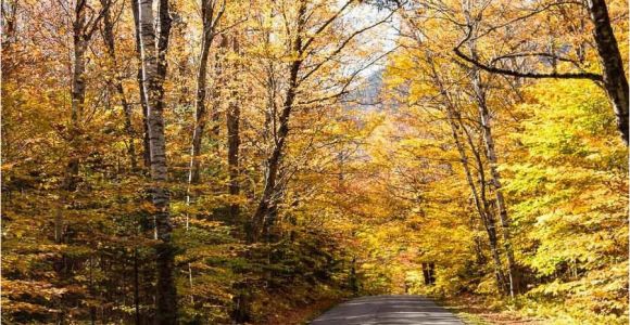 New England Foliage 2014 Map A Scenic Drive In Western Maine New England Fall Foliage