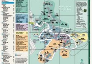 Oregon Zoo Map 183 Awesome Zoos Around the World Images the Zoo Zoos Around the