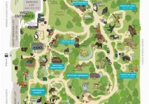 Oregon Zoo Map 50 Awesome Zoo Maps Images Zoo Map Parks the Zoo