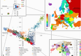 Racial Map Of Europe Genetic History Of Europe Wikipedia