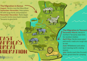 Safari Parks In England Map How to Experience East Africa S Annual Great Migration