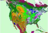 Texas Biomes Map Earth Floor Biomes Pearltrees