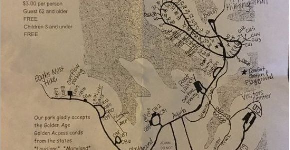 Texas Campgrounds Map Campground Map Layout Picture Of south toledo Bend State Park