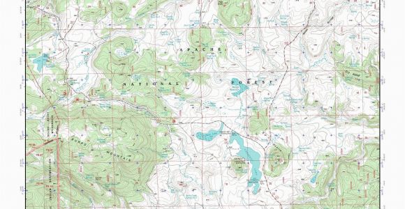 Topo Map Of Arizona Mytopo Big Lake north Arizona Usgs Quad topo Map