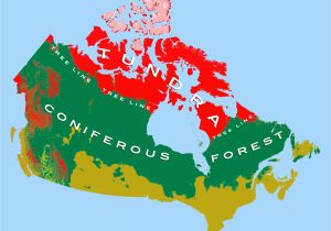 Where is Canada Located On the Map Canadian Arctic Tundra Wikipedia