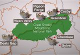 Where is Pigeon forge Tennessee On A Map Armadillos Spread In East Tn Surround Smokies Wbir Com