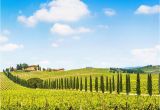 Wineries In Tuscany Italy Map Fun In Tuscany Chianti Wine tour 7 5 Hours Tuscany In 2019